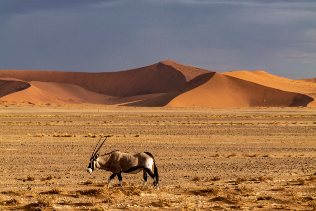 Turismo: Transafrica